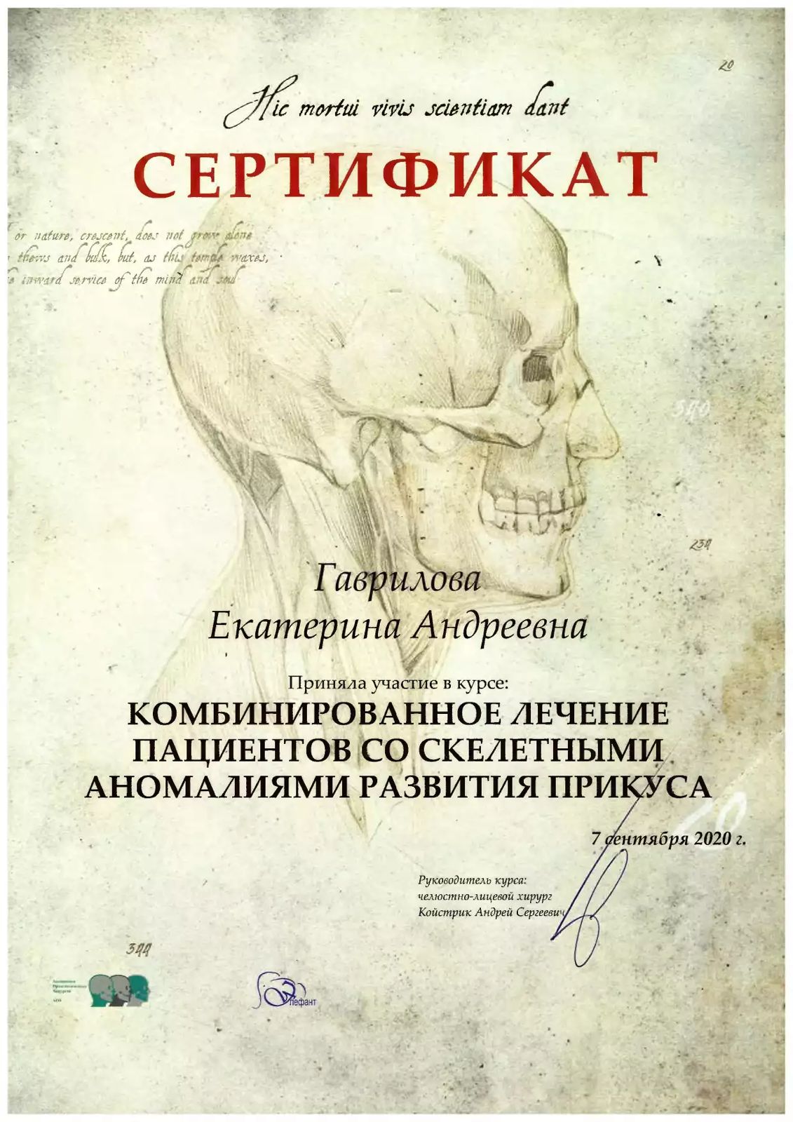 Сертификат